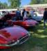 steve_pimental005_small.jpg